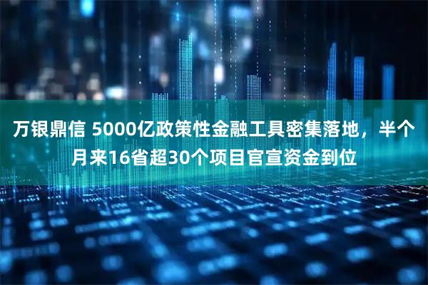 万银鼎信 5000亿政策性金融工具密集落地，半个月来16省超30个项目官宣资金到位