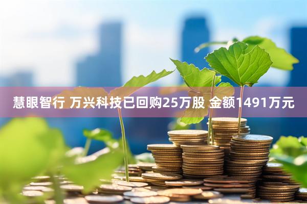 慧眼智行 万兴科技已回购25万股 金额1491万元