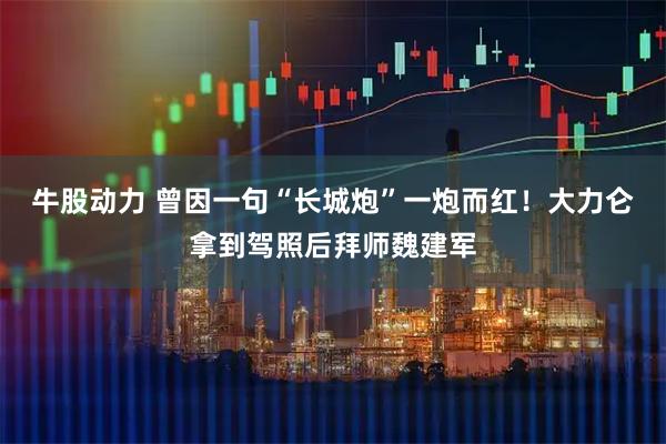 牛股动力 曾因一句“长城炮”一炮而红！大力仑拿到驾照后拜师魏建军