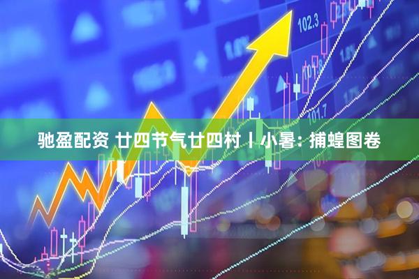 驰盈配资 廿四节气廿四村丨小暑: 捕蝗图卷