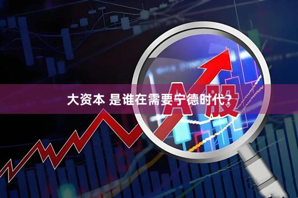 大资本 是谁在需要宁德时代？