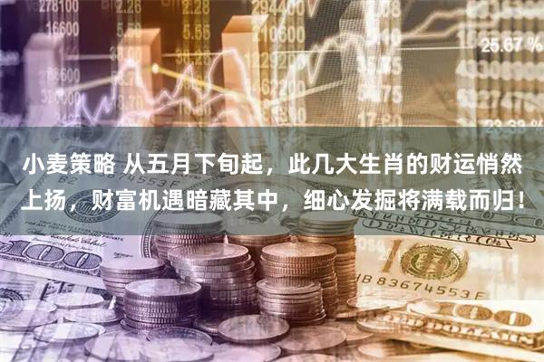 小麦策略 从五月下旬起，此几大生肖的财运悄然上扬，财富机遇暗藏其中，细心发掘将满载而归！
